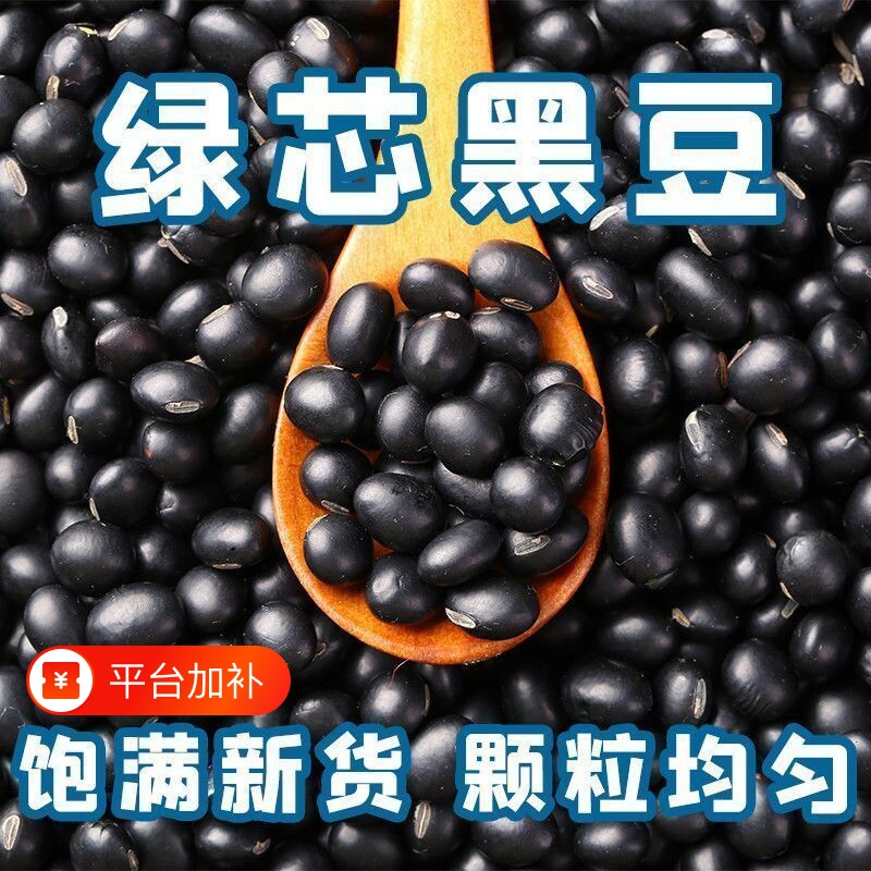 绿芯黑豆东北农家豆浆可发豆芽五谷杂粮自种新货