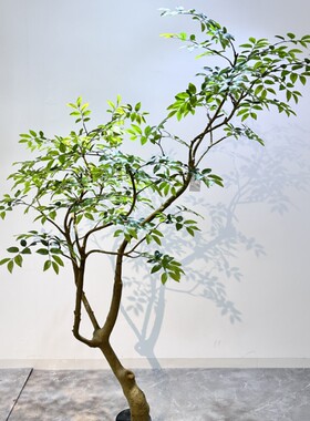 仿真嘉宝咖啡红枫杜鹃树满堂红树林盆栽绿植室内客厅装饰仿生植物