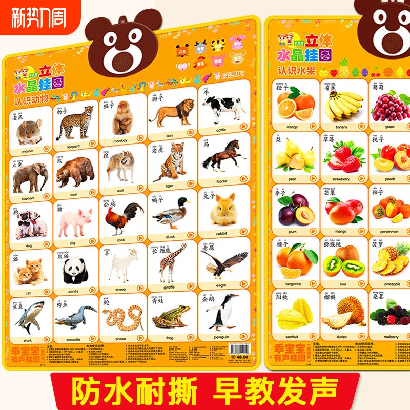 儿童宝宝早教启蒙有声挂图婴幼儿识物认知墙贴图拼音识字人物汉语