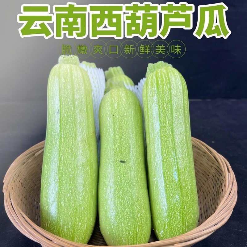 新鲜西葫芦瓜云南产地直发鲜嫩茭瓜三月瓜三月瓜小瓜应季蔬菜包邮