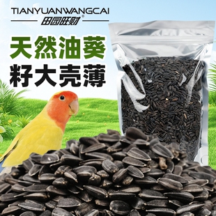 鹦鹉鸟粮饲料新油葵黑瓜子玄凤牡丹营养训练奖励专用八哥画眉文鸟