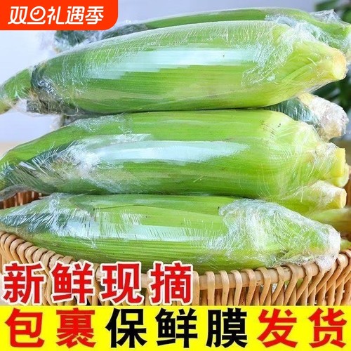 广西现摘大纯黄玉米3-5-9斤