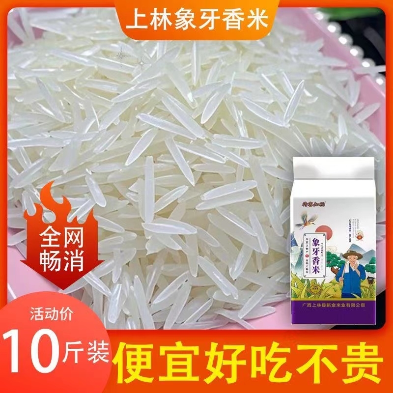 一级象牙米正宗上林长粒香米2025年新米农家自种丝苗米稻花香大米
