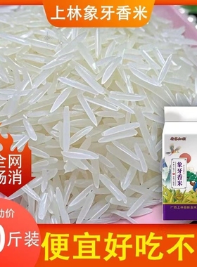 一级象牙米正宗上林长粒香米2025年新米农家自种丝苗米稻花香大米