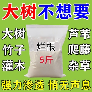 枯树药大树烂根树粉竹子杂草死树根强力腐蚀刹树王神器专用正品