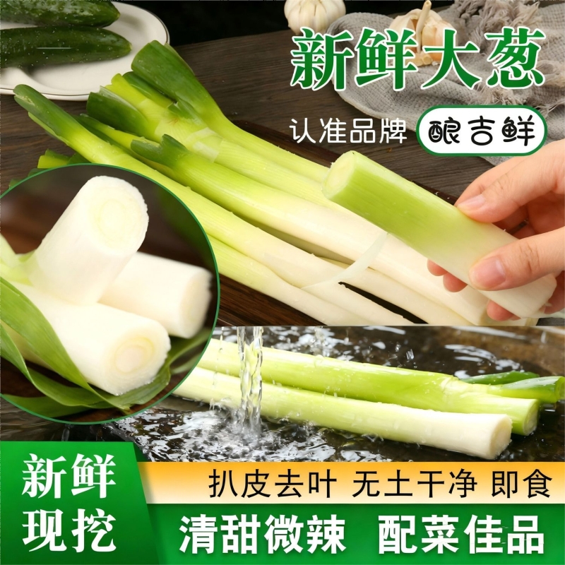 2025当季新鲜大葱农家种植脆嫩多汁新鲜现挖东北大葱蘸酱调味葱