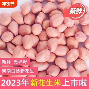 2024年新鲜花生米新货白沙农家生花生米商用去散装壳花生仁新花生