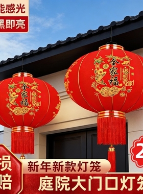 2025新款免插电新年春节大红灯笼过年户外大门口装饰阳台一对宫灯