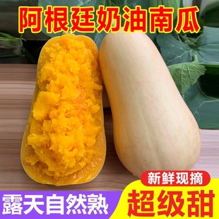 包郵 正宗奶油小南瓜9斤 當(dāng)季 新鮮現(xiàn)摘農(nóng)家老南瓜香甜軟糯寶寶輔食