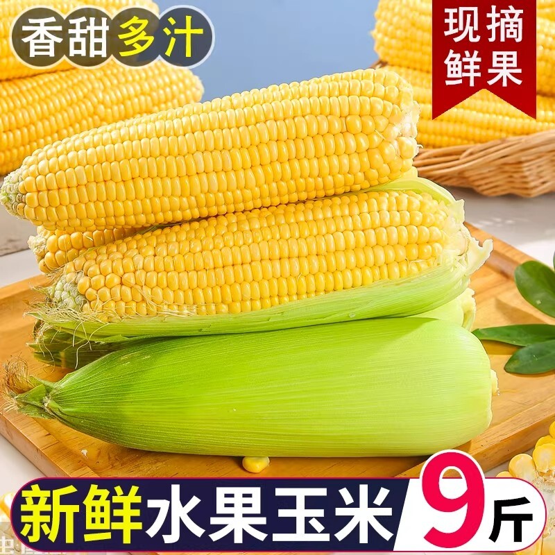 新鲜云南水果甜玉米新鲜现摘金银玉米新鲜玉米可榨汁即食现摘带皮