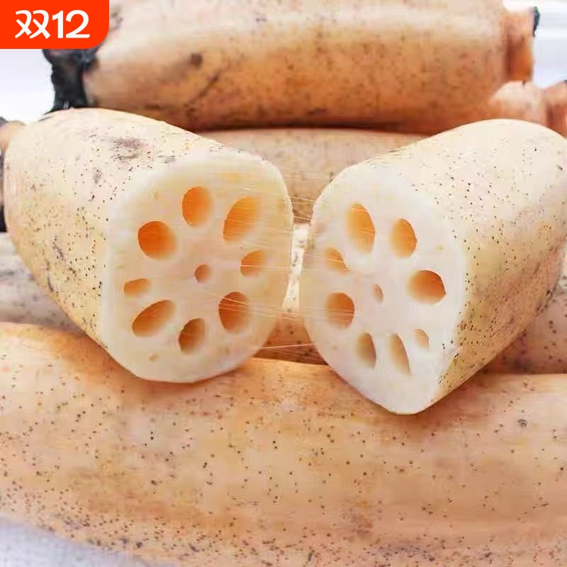 洪湖莲藕新鲜脆藕生吃凉拌炒藕湖北莲藕水果藕嫩藕新花藕包邮