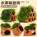 莫斯陶罐躲避屋装 饰水草鱼缸造景植物鱼虾躲避洞虾屋摆件小鱼繁殖