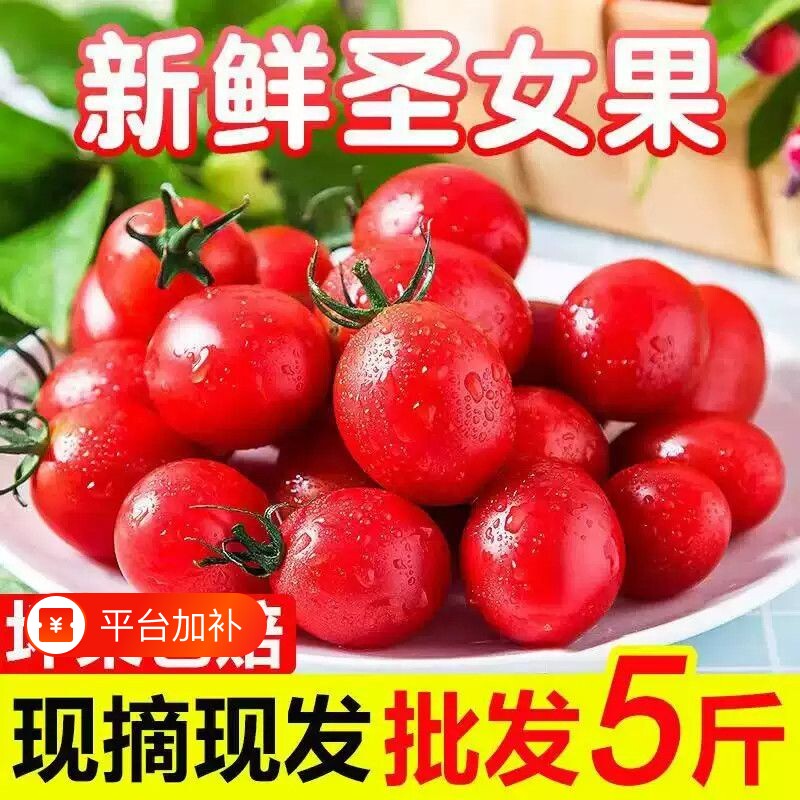 云南小西红柿圣女果千禧小番茄5斤装酸甜爽口产地直发新鲜水果