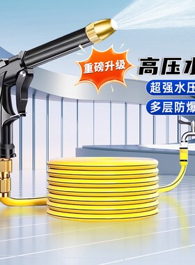 【品质优选】车家两用高压水枪