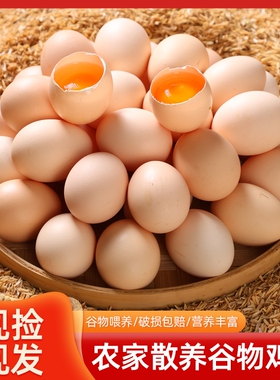 鸡蛋新鲜新鲜鸡蛋现捡农家散养柴鸡蛋土草鸡蛋谷物鸡蛋