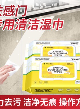 柜门清洁湿巾全屋户型适用