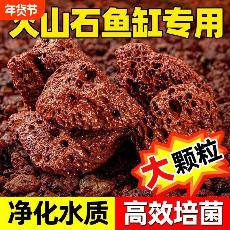 火山石鱼缸专用颗粒天然滤材鱼缸造景底砂古法养鱼材料大块过滤石,鲜花速递/花卉仿真/绿植园艺,介质/营养土,淘宝优惠券,粉丝福利购,淘宝优惠卷