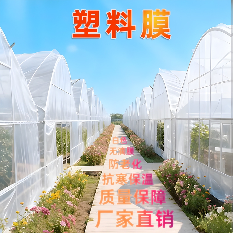 塑料膜加厚农用薄膜抗老化塑料布白色无滴膜大棚专用保温蔬菜