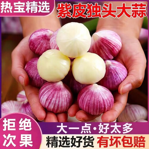 紫皮独头蒜1斤新鲜应季2斤大蒜现挖3斤现发农家优质5斤特大果蔬菜