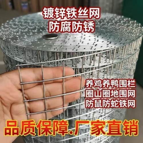 钢丝网防鼠鸡鸭圈地抹墙牛羊围栏