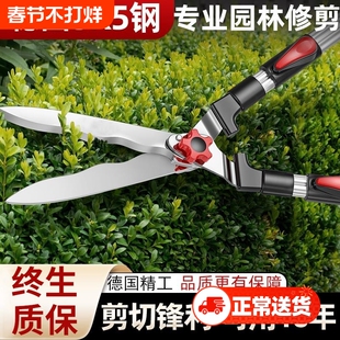 剪树枝专用剪刀园林修枝园艺花木剪绿篱粗枝绿化剪进口伸缩杆锋利