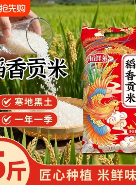 东北大米珍珠米5kg10斤装当季新米20斤产地直发稻香米50斤非真空