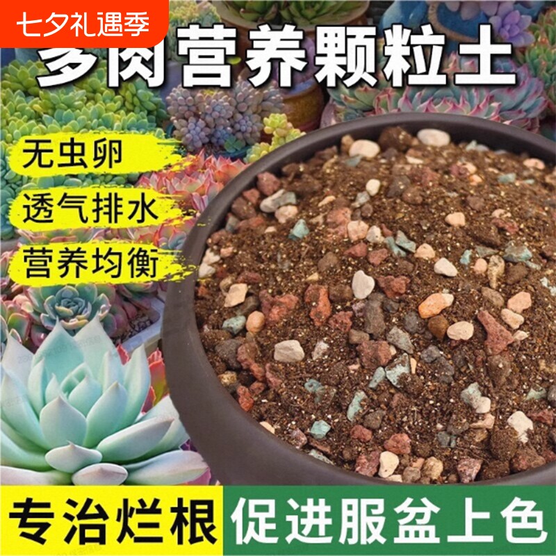 多肉颗粒土专用营养土植物泥炭种植土壤肉肉叶插小苗颗粒花土疏松