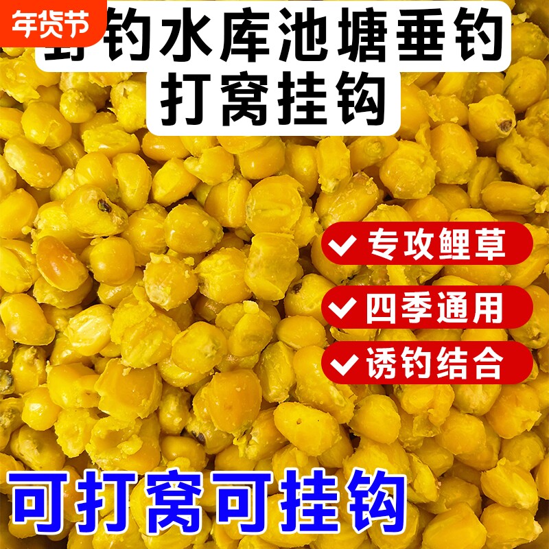 玉米打窝料颗粒钓鱼鲤鱼钓鱼老坛发酵老坛玉米诱钓两用鱼饵料
