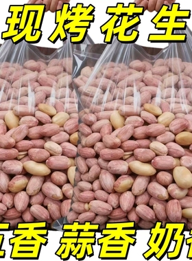 中新五香烤花生米山东特产烤熟蒜香原味下酒休闲零食好吃的新鲜