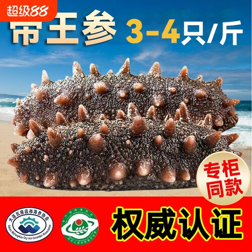 海参店贴纸海鲜鲍鱼特产店铺橱窗玻璃广告贴画冷冻礼盒装水产