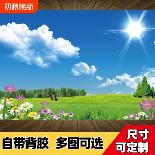 风景画墙贴自粘装饰画客厅山水画背景墙壁画墙纸贴纸贴画壁纸墙面