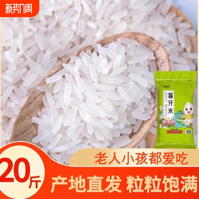 南方大米丝苗米10斤/20斤新米晚稻米猫牙香米长粒米饭袋装软糯