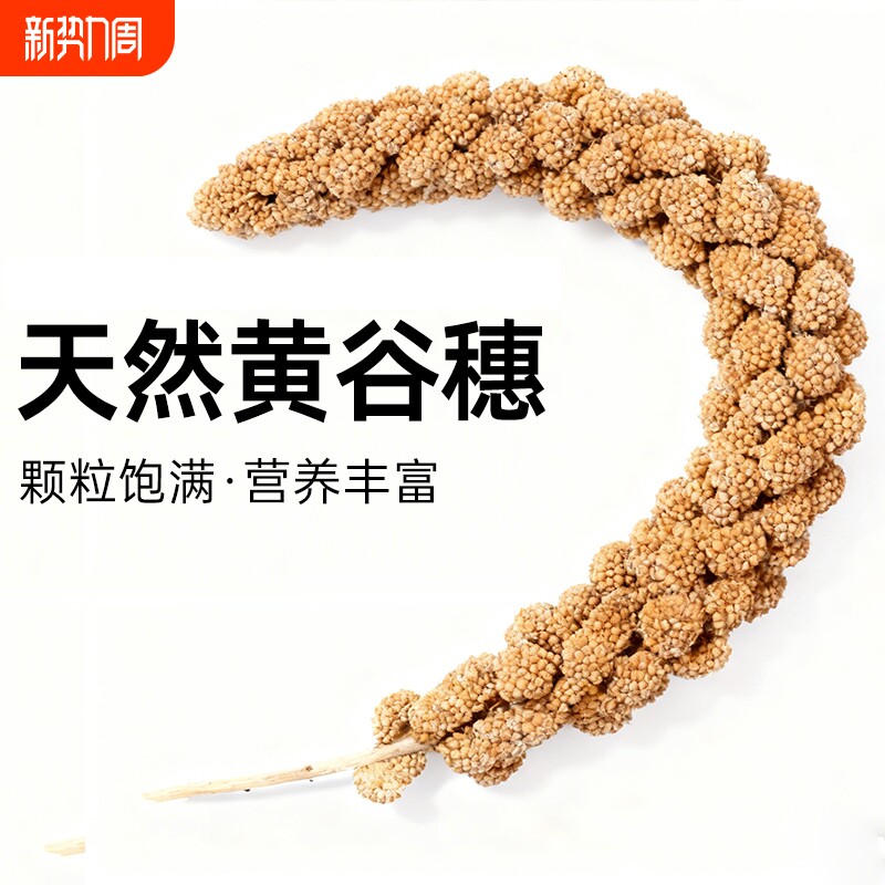 新货天然黄谷穗带壳谷子小米穗虎皮玄凤牡丹文鸟粮零食鹦鹉专用