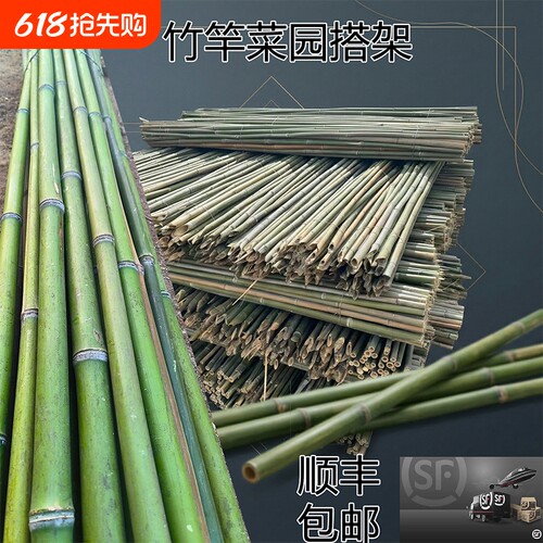 旗杆黄瓜豆角爬藤菜架竹