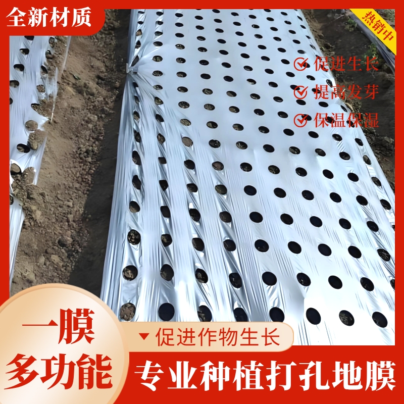 巴慕欧打孔地膜银黑反光驱虫地膜