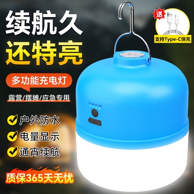 充电灯泡摆摊地摊灯LED应急照明灯家用户外夜市停电露营灯超亮