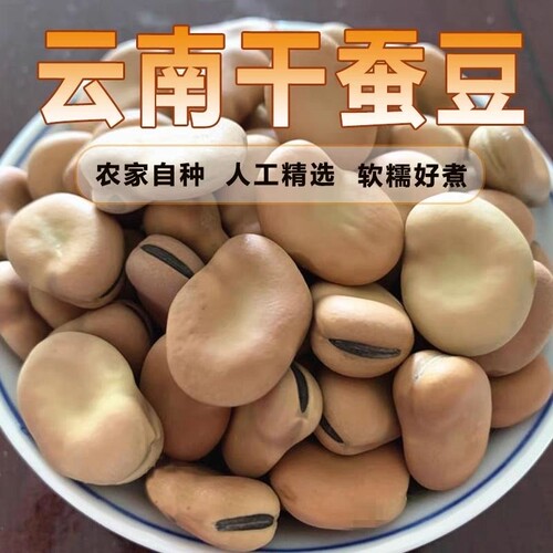 5斤云南白蚕豆批发农家新鲜五谷杂粮罗汉豆白皮半斤新货干货