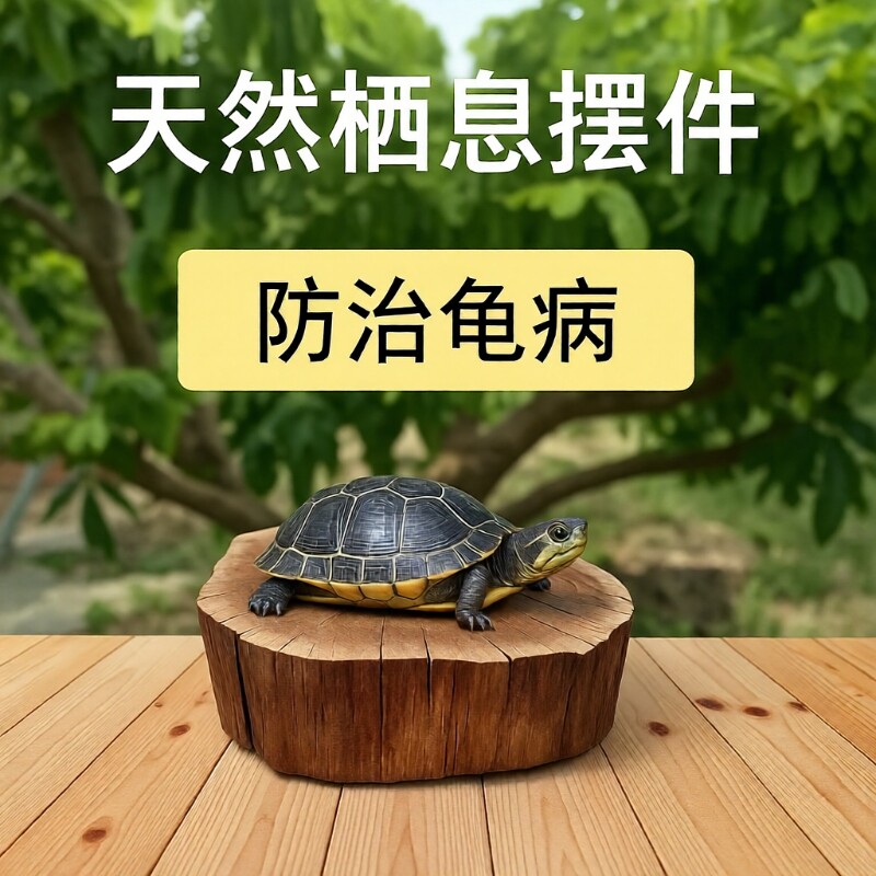 龙眼木乌龟爬台|超6000次加购图片
