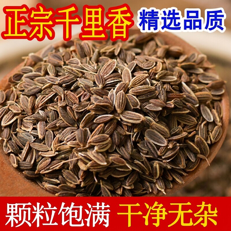 千里香500g九里香百里香莳萝籽卤菜香料天然增香调味料调料茴香