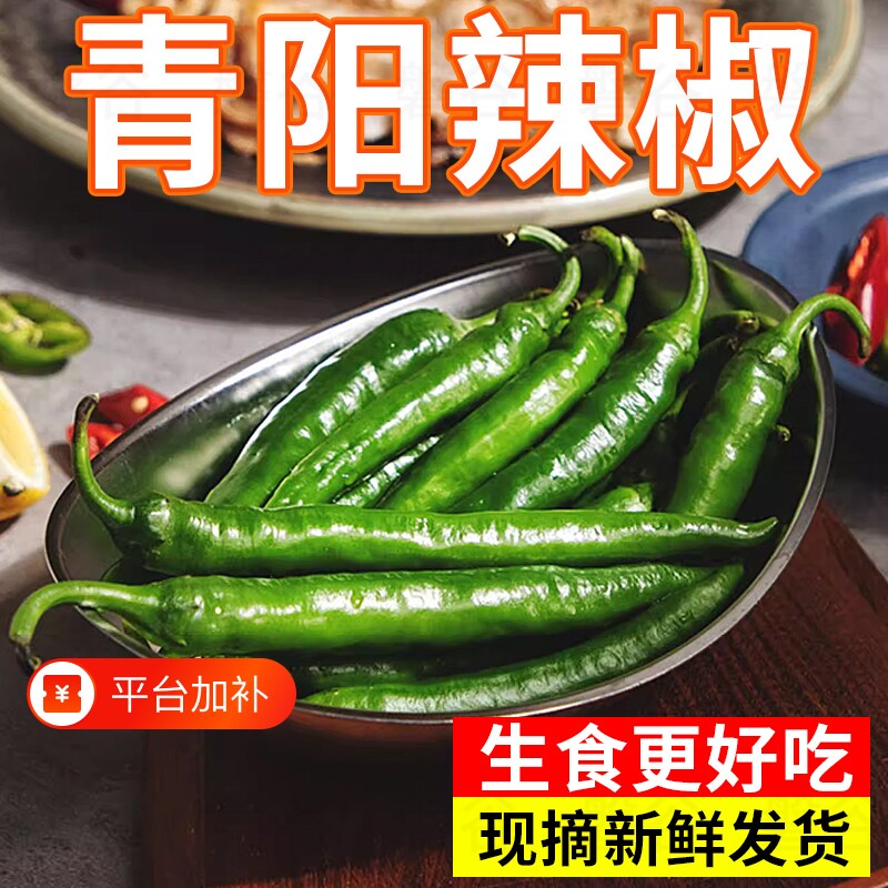 青阳辣椒当季小米椒彩椒新鲜薄皮辣椒烤肉生食青椒炒菜下饭蔬菜