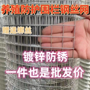 镀锌铁丝网加粗围栏防鼠防鸟隔离栅栏水泥防裂养殖圈地不锈钢筛网