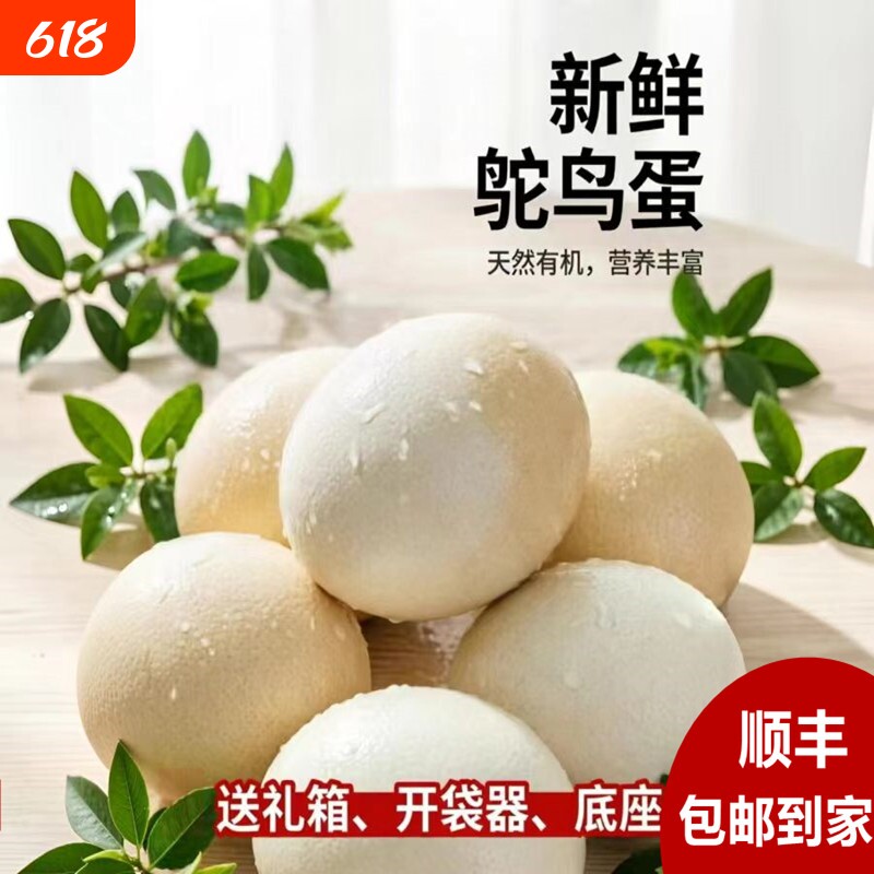 新鲜超大鸵鸟蛋顺丰包邮食用蛋王可食用驼鸟蛋营养丰富巨大蛋