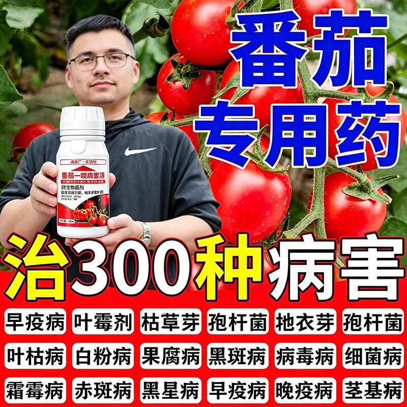 番茄病菌清西红柿病毒病专用药防卷叶枯萎裂果灰霉病炭疽病叶面肥