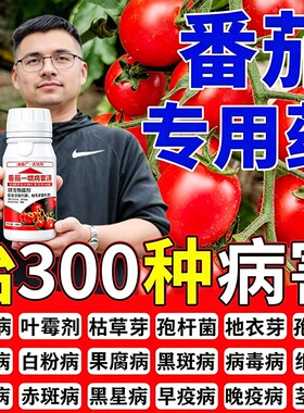 番茄病菌清西红柿病毒病专用药防卷叶枯萎裂果灰霉病炭疽病叶面肥