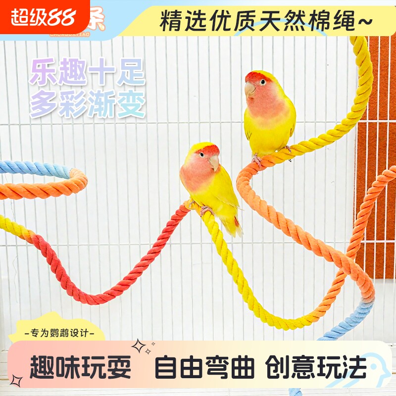 鹦鹉攀爬杆棉绳架秋千玩具图片