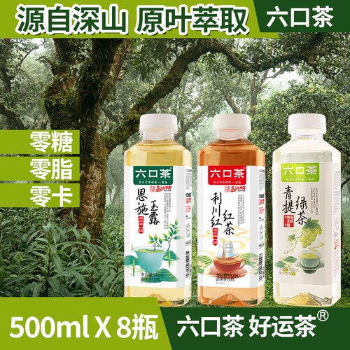 六口茶冷萃茶饮料原味小瓶装零糖0脂0卡含硒500ml小瓶绿茶玉露