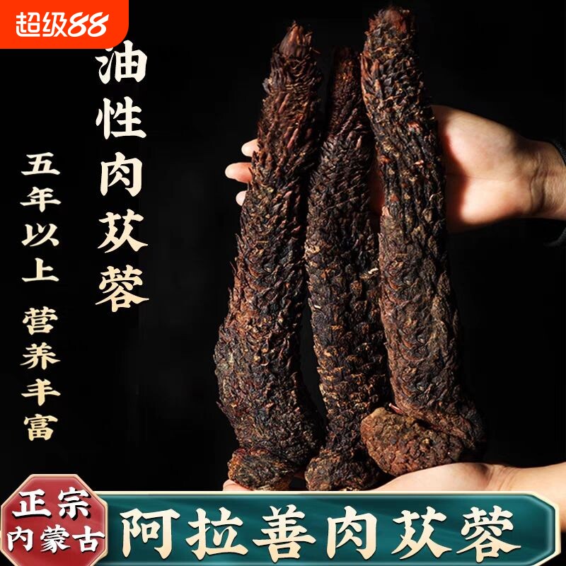 正宗阿拉善肉苁蓉特级野生整根油性软质肉苁蓉男性泡酒切片泡水茶
