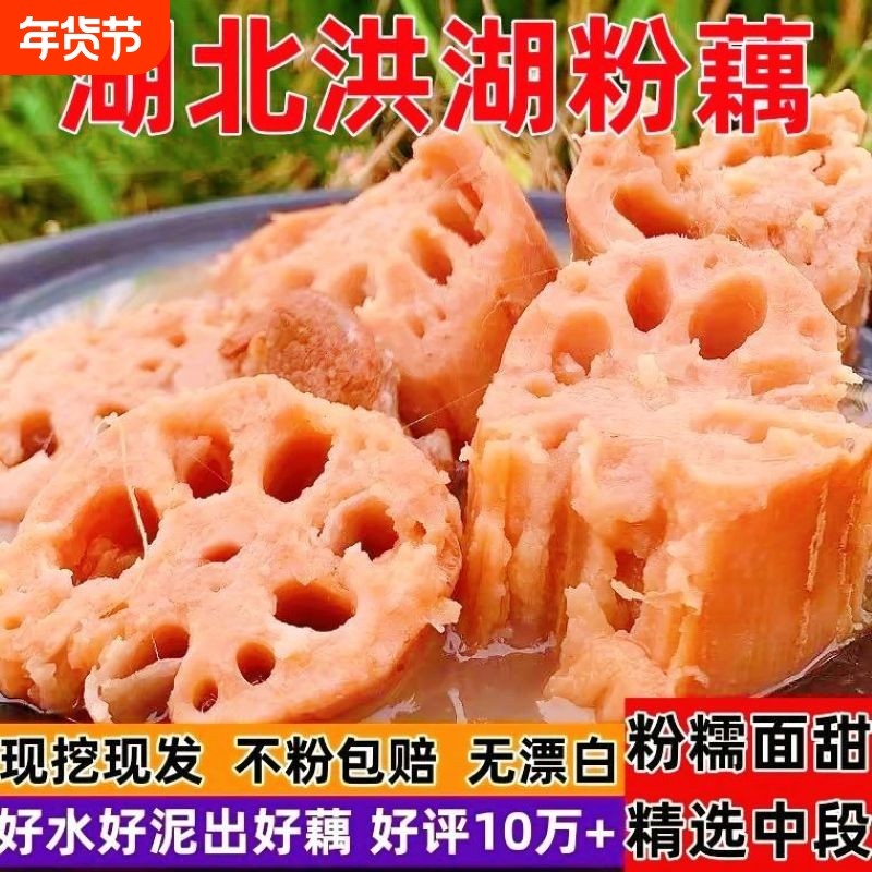 新鲜莲藕湖北洪湖粉藕新鲜现挖现发煲汤炖肉炖汤软糯营养孕妇莲藕,水产肉类/新鲜蔬果/熟食,莲藕,淘宝优惠券,粉丝福利购,淘宝优惠卷