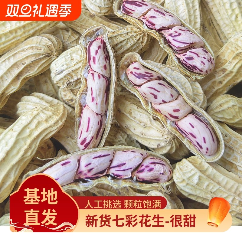 2025新货七彩花生云南普洱晒干五彩花生七彩花生米原味带壳花生