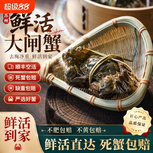 苏州特产螃蟹鲜活大闸蟹公可全母3两去绳净重顺丰中秋8只礼盒装